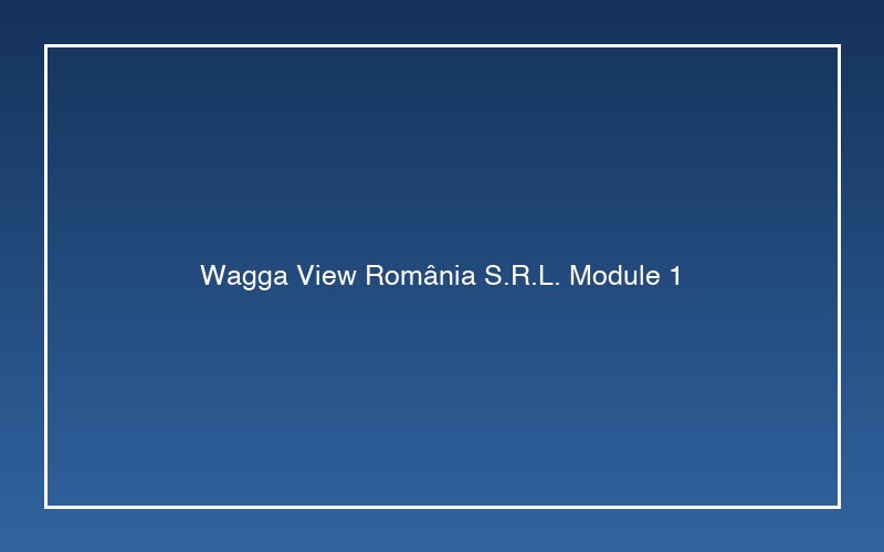 Modul Tehnologic 1