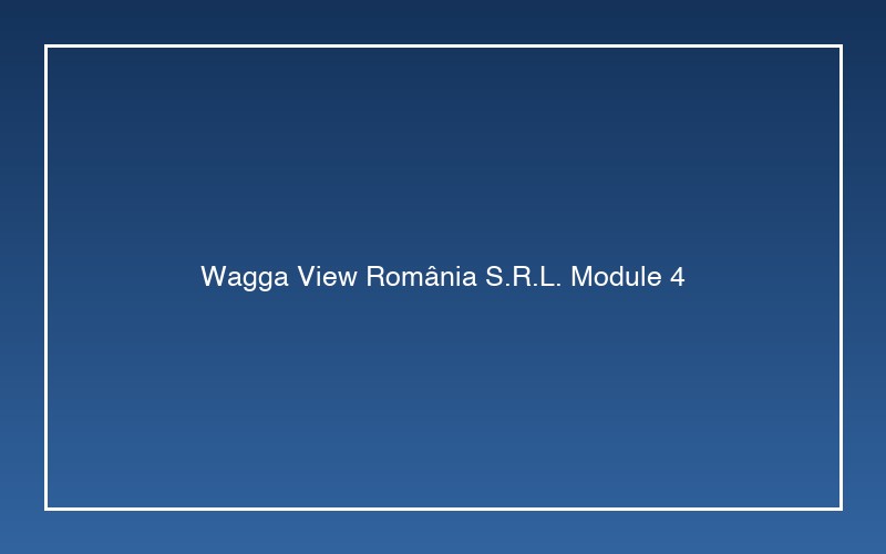 Modul Tehnologic 4